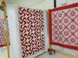 Red & White SB1260