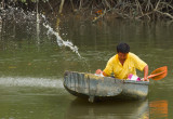 mangrove lake