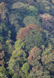 KAENG KRACHAN NP THAILAND - FOREST SCENES (27).JPG