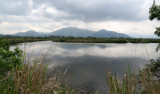 MAI PO WETLANDS HONG KONG (40).JPG