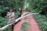 DZANGA NDOKI NATIONAL PARK - CENTRAL AFRICAN REPUBLIC (11).JPG