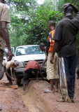 DZANGA NDOKI NATIONAL PARK  - CENTRAL AFRICAN REPUBLIC (17).JPG