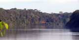 SANGHA LODGE - DZANGA NDOKI NATIONAL PARK CENTRAL AFRICAN REPUBLIC (16).JPG