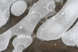 luchtbubbels in een bevroren plas