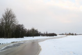 Uitzicht vanuit het kippenbos