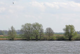 De overkant van de rivier De Merwede