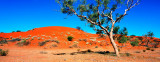 Innamincka Dune