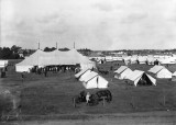 SDA Camp Tents