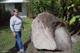 Sitio Barriles Petroglyph