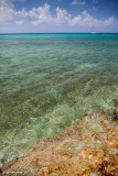 Grand Cayman beach.jpg