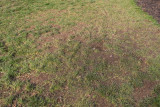 Spring Time (Not pretty)