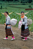 China (Guizhou)  - On The Way Home With Full Bags