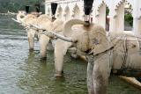 Jagmandir Palace, note high water!