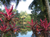 Garden at Emerald Isle Homestay (RT)