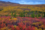 JT3_2240p.jpg