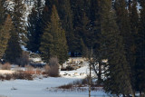 JT7_1625p.jpg