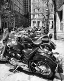 Bike Season