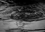 Ripples