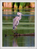 Tamron 1.4x