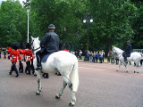 07_Ireland_England_5X71452.jpg