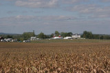 from corn field.jpg