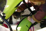 Unexpected visitor in our stroller