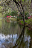 IMG_9253 Callaway Gardens Landscape Workshop.jpg