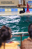 Notojima 能登島 - のとじま水族館 Notojima Aquarium