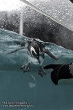 Notojima 能登島 - のとじま水族館 Notojima Aquarium