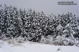 Mt. Sekidou 石動山 - backroads enroute to Himi