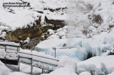 Hirao 平穩 - 野猿公苑 Snow Monkey Park