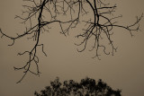 spring or winter...