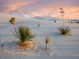 White Sands NM