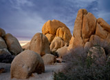 Joshua Tree NP