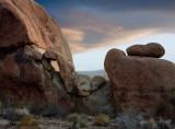 Joshua Tree NP