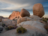 Joshua Tree NP