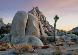 Joshua Tree NP