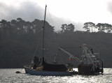 Oyster boats