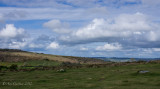 A view from Hound Tor