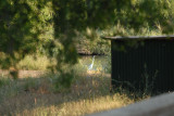 DSC_0033.jpg