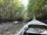  Long boat stuck in mud, Mangrove swamp, Krabi.jpg