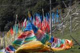 prayer flags