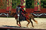 the jousting