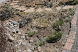 Grass Garden Area at SW looking down (9704)
