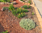 Perennial Herb Garden #264 D (1789)