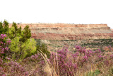 Palo-Duro-Canyon-State-Park.jpg