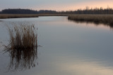 November 2011