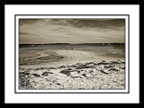 Fossicking-At-The-Beach.