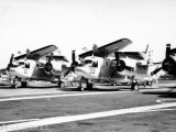 Grumman Trackers  US Navy