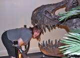 Ruby--a sweet treat for a T-Rex